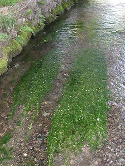 ���炩�Ȓn����