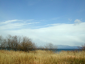 ���X�Ƃ������i��