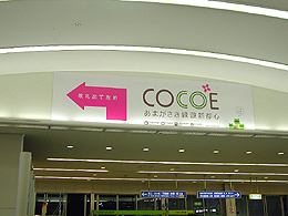 �i�q���w���D���ɂ�