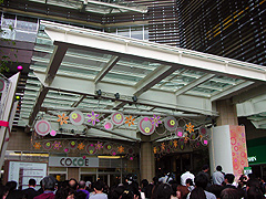 �R�R�G�ɌQ����l�X