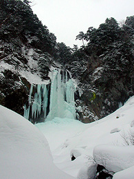 �X�������������