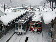 �M�Z�咬�w�ɂ�