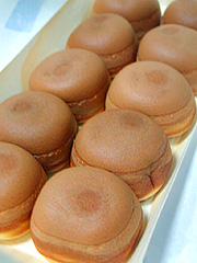 �{���\���������