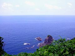 �o��������̐�i