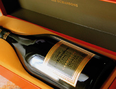 �L���x�E�G�[�V�����\���E�~���W��