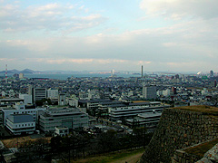 �T�R�����̏ォ��̒��]