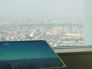 �܂��Ɍ|�p�i�̂悤�Ȓ���