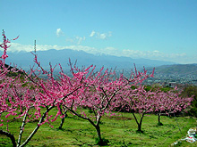 �݂��������������t�߂ɂ�