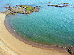 ���������q�̕l