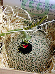 ���̍�����e�B�t�@�j�[������