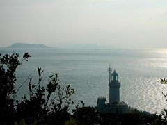 ���c������ƍ���