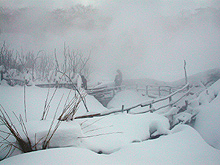 ��Ɠ����Ŏ��E�������ł�