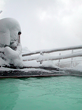 �����p�I�V���C