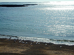 �䋙�`����