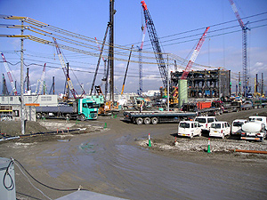 �S���p�̂��͉̂��ɂȂ�̂��ȁH