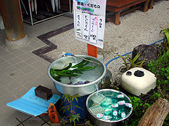 �����т̓���