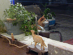 ���q�����҂X�債�΂���