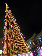 �X�J�C�r���̃c���[