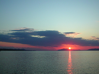 �����΂Ɨ[�z