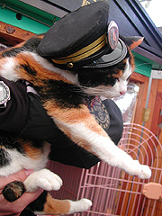 ���܉w���d����