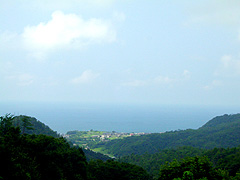 �H�����ꂩ����{�C���]�߂܂���