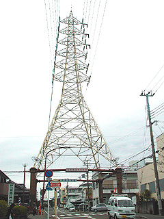 �����_�̏�ɗ����ȓS��