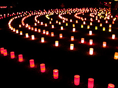 ���_���n�ɂ�