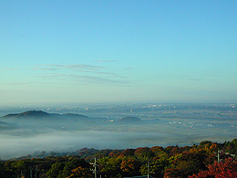 �}�g�R�A���̒�