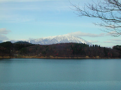 �䏊�΂Ɗ��R