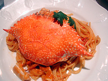 ���ꂪ���^���K�j�X�p�Q�e�B�I