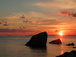 ��C�C�݂̗[�z