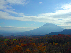 ���̗r���R