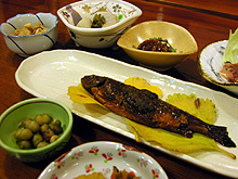 ����̂�������