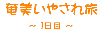 奄美いやされ旅 １日目