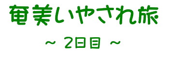 奄美いやされ旅２日目