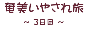 奄美いやされ旅３日目