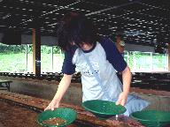 砂金採り中