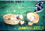 砂金入りカード