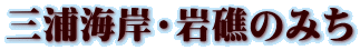 OYC݁Eʂ݂̂