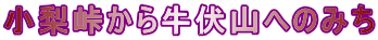 狍Rւ݂̂