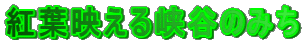 gtf鋬Ĵ݂