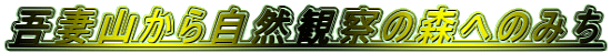 ȎR玩Rώ@̐Xւ݂̂