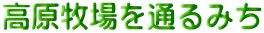 qʂ݂