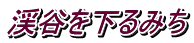 渓谷を下るみち