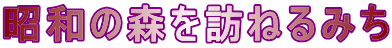 a̐XK˂݂