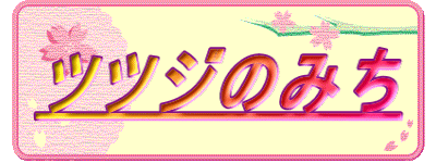 ccŴ݂