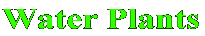 Water Plants 