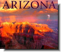 Arizona (The America Series)