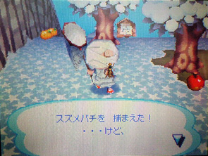 ����ƃX�Y���o�`�ߊl