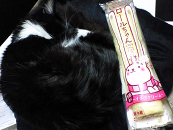 Ԍ肢[